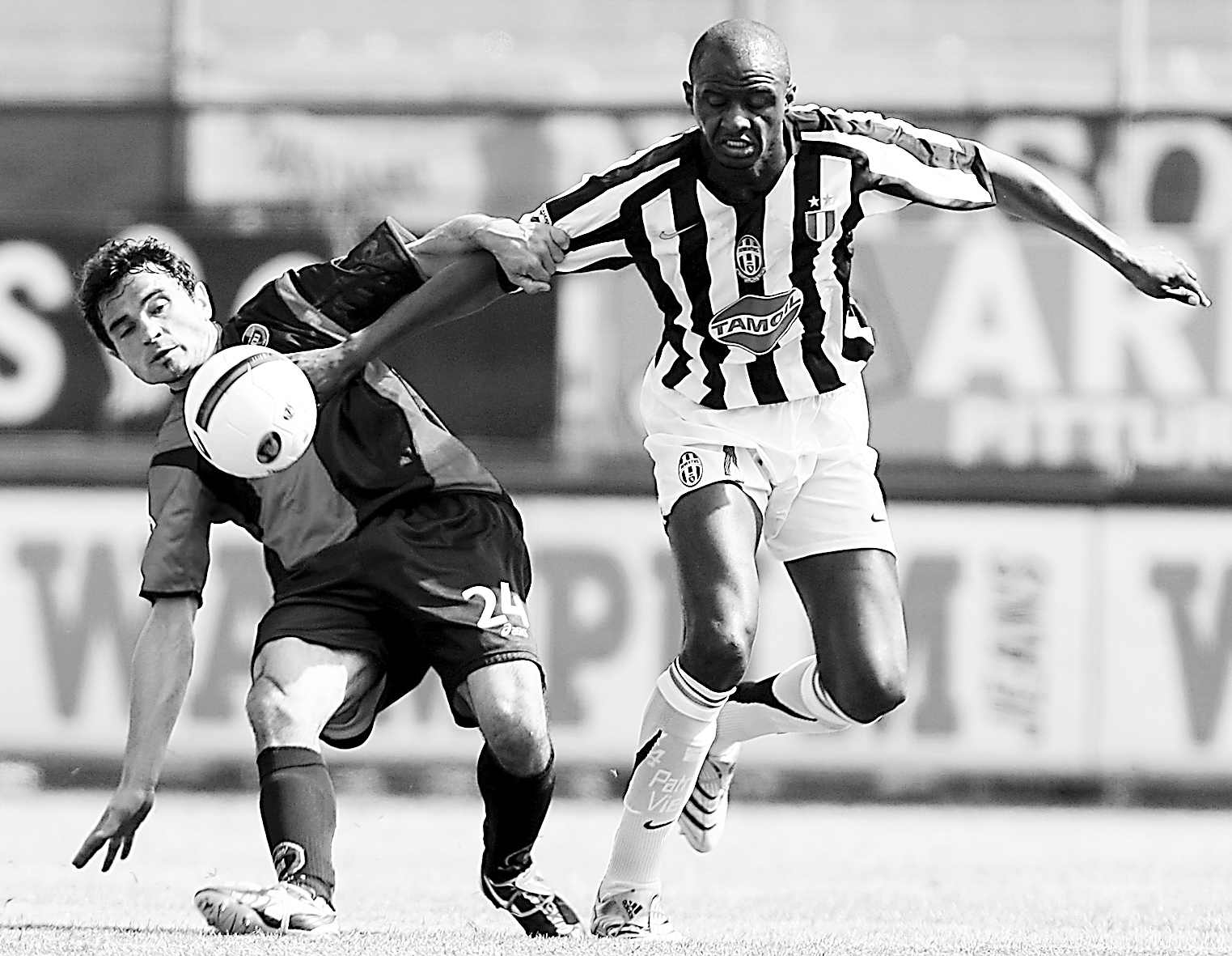 他迅速利用 他迅速利用